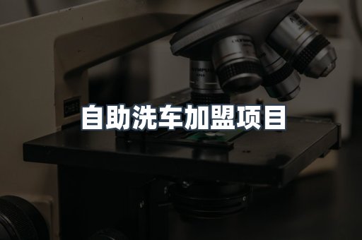自助洗车加盟项目